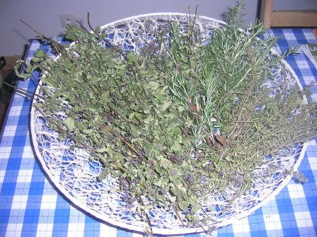herbes aromatiques au sechage