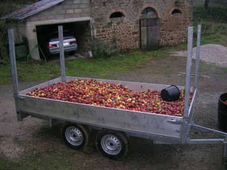 stock de pommes